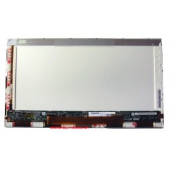 Display Lcd Schermo 17,3...
