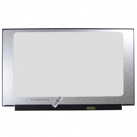 Display LCD Schermo 15,6 Led N156HCA-GA3 REV.C1 Full Hd connettore 30 pin