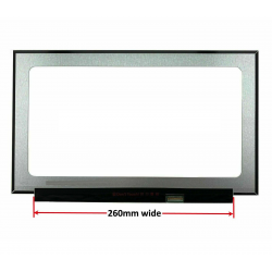Display LCD Schermo 15,6 Led N156HGA-EA3 Rev. C3 Full Hd