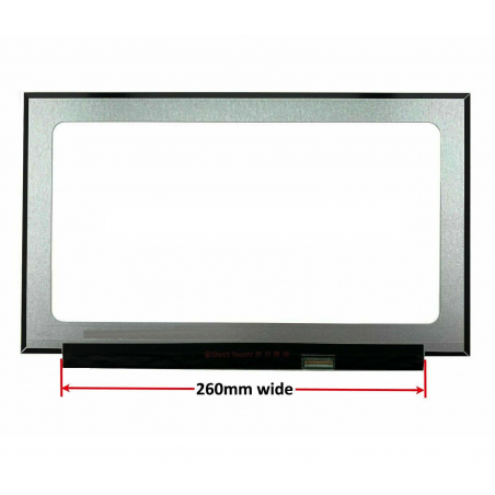 Display LCD Schermo 15,6 Led N156HCA-EAC Rev. C1 Full Hd