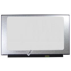 Display LCD Schermo 15,6 Led compatibile con B156HAN02.3 Full Hd